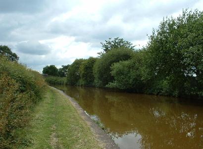 Trent & Mersey Canal at Hassall Green
